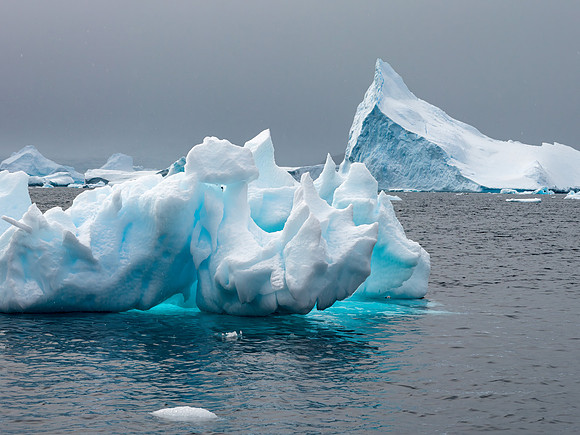 Antarctica-41