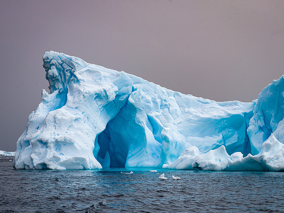 Antarctica-40