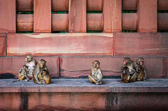 India-1